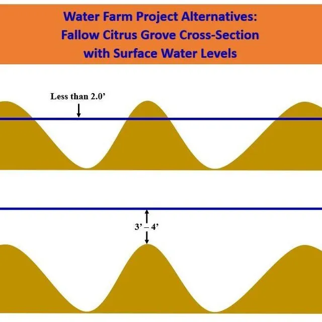 thumbnail for publication: Your Farm as a Water Storage System: Steps to Establish an Agreement with the Water Management Districts